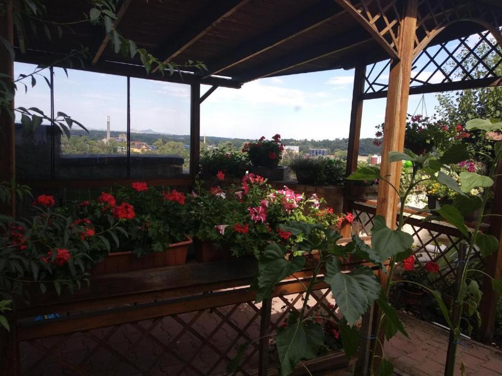 Apartmany Zatec Екстер'єр фото